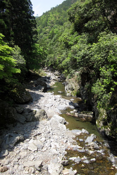 c0038434_14555299.jpg