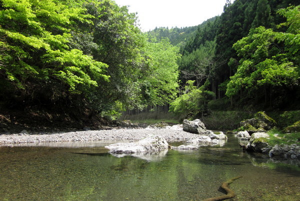 c0038434_14560286.jpg