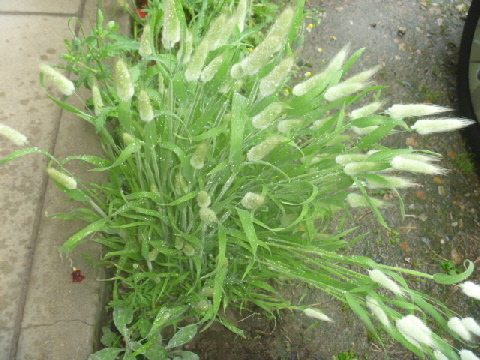 b0246036_09245153.jpg