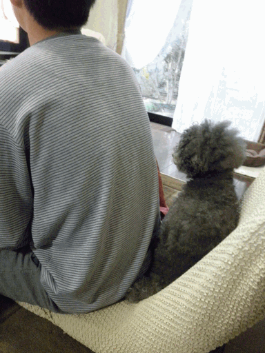 c0136736_21591040.gif