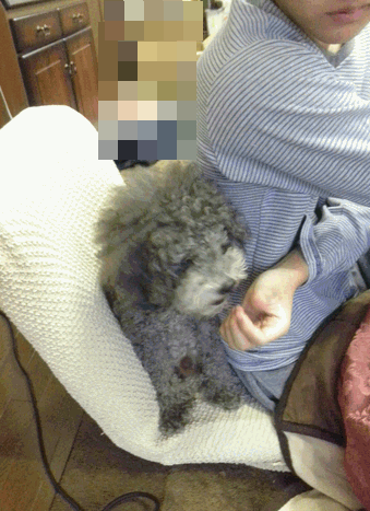 c0136736_21594060.gif