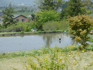 a0014840_9591932.jpg