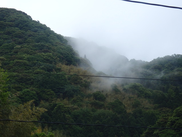 a0054240_23451141.jpg