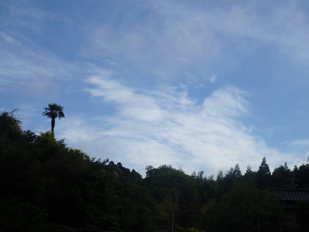 a0054240_23473163.jpg