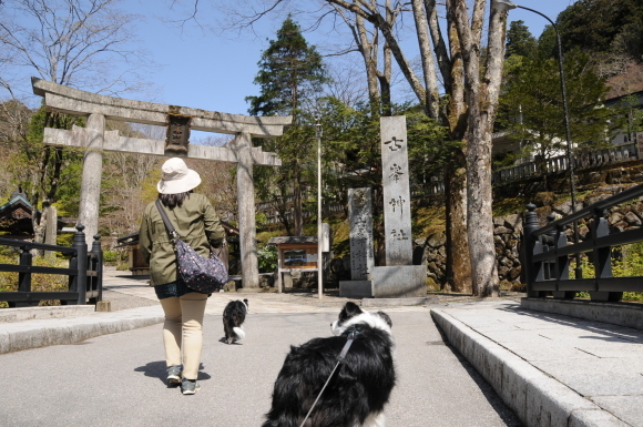 c0147241_14212779.jpg