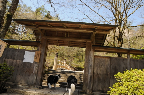 c0147241_14222601.jpg