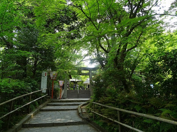 b0299042_23314852.jpg