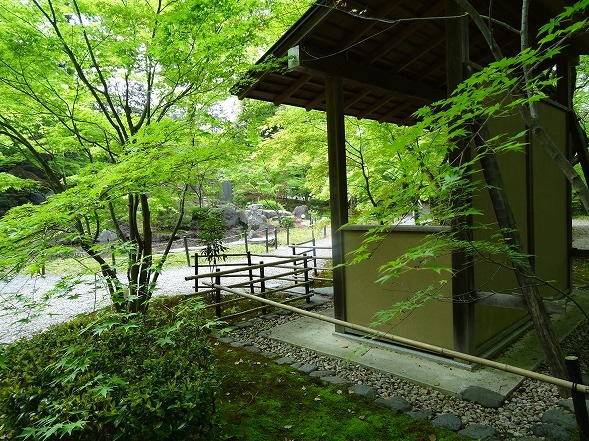 b0299042_23315924.jpg