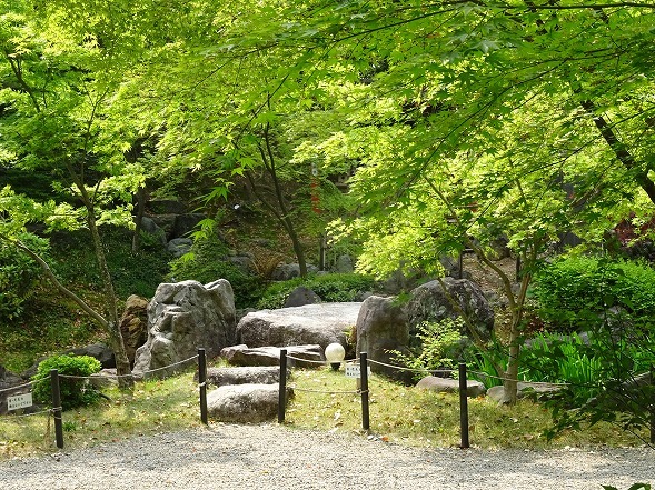 b0299042_23320510.jpg