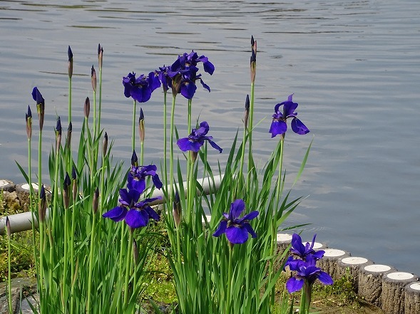 b0299042_23331622.jpg