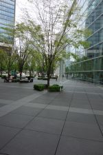 e0080345_06030565.jpg