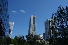 e0080345_06112500.jpg