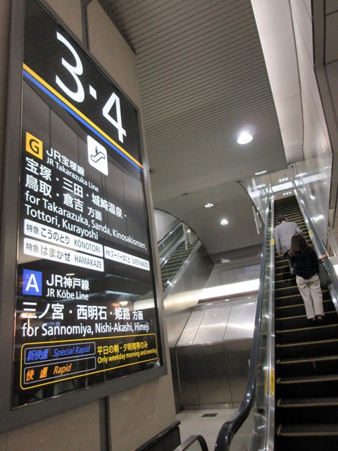 b0009849_16452846.jpg
