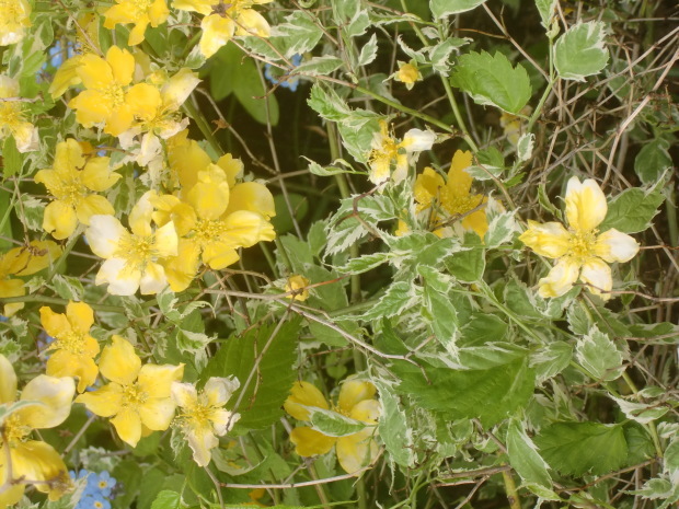 f0329849_23035342.jpg