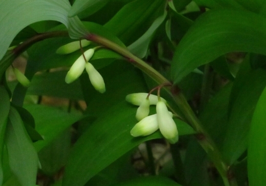a0018655_14104285.jpg