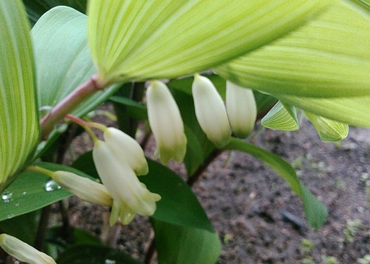 a0018655_14104554.jpg