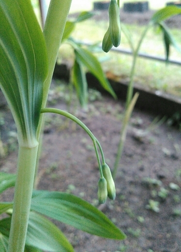 a0018655_14105221.jpg