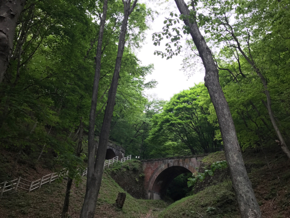 b0002156_15344557.jpg