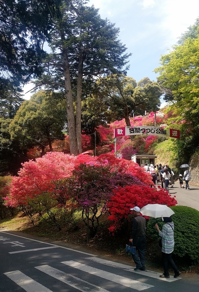 d0039059_13121428.jpg