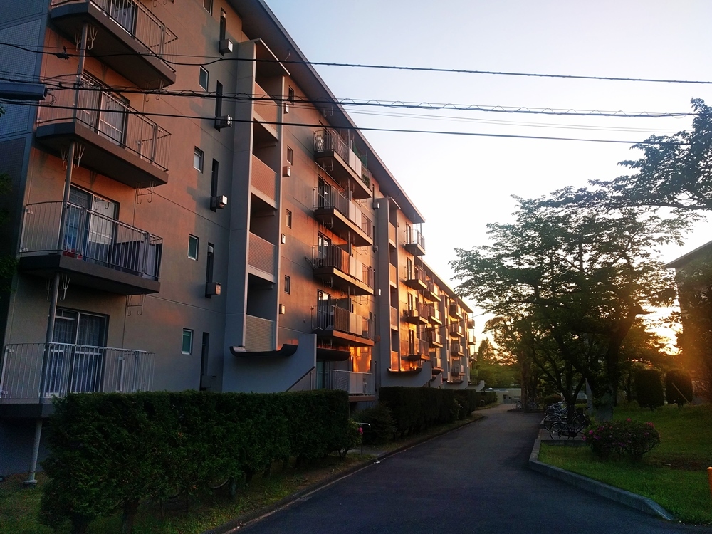 d0039059_13305878.jpg