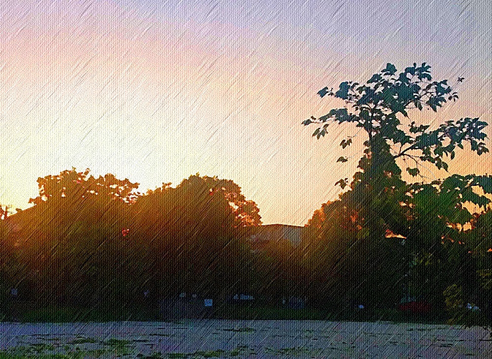 d0039059_13311254.jpg