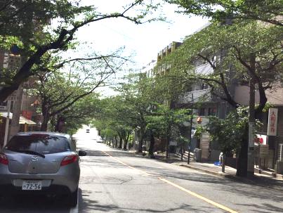 c0051760_22362622.jpg