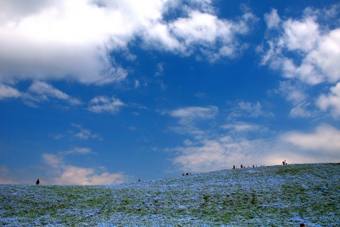 e0131161_21425789.jpg
