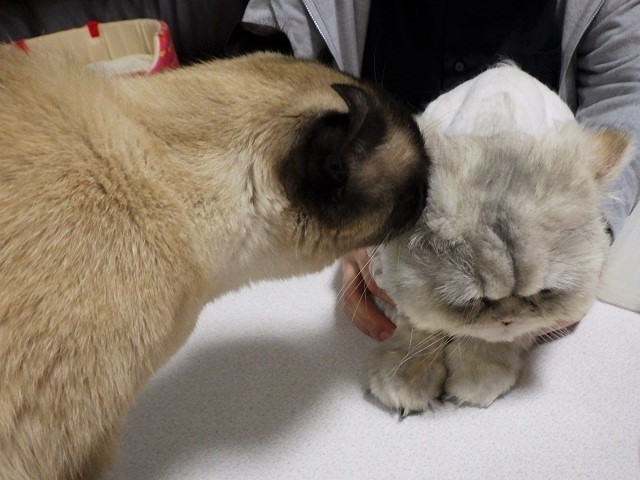 c0105569_01100246.jpg