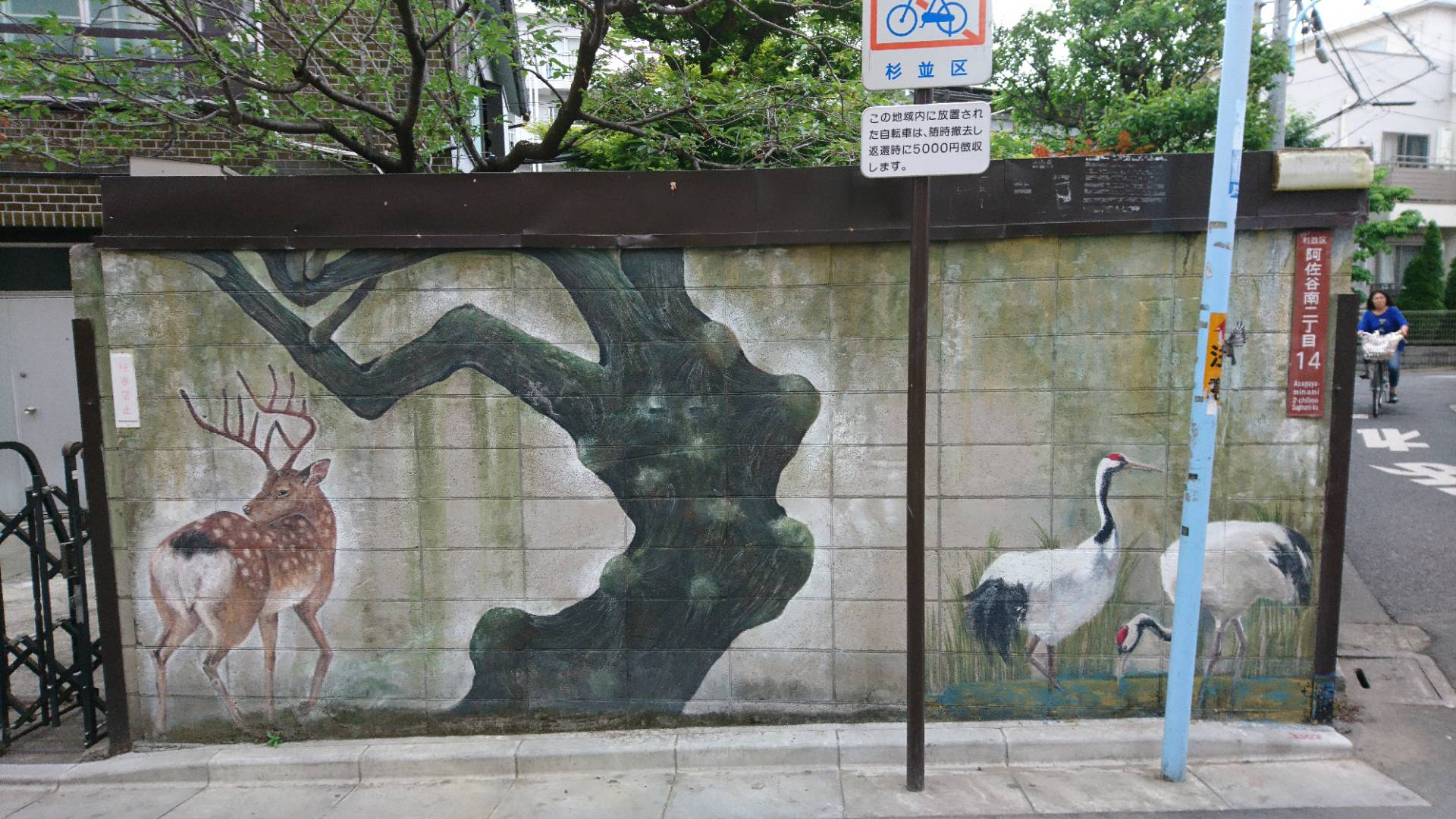c0002171_2241696.jpg