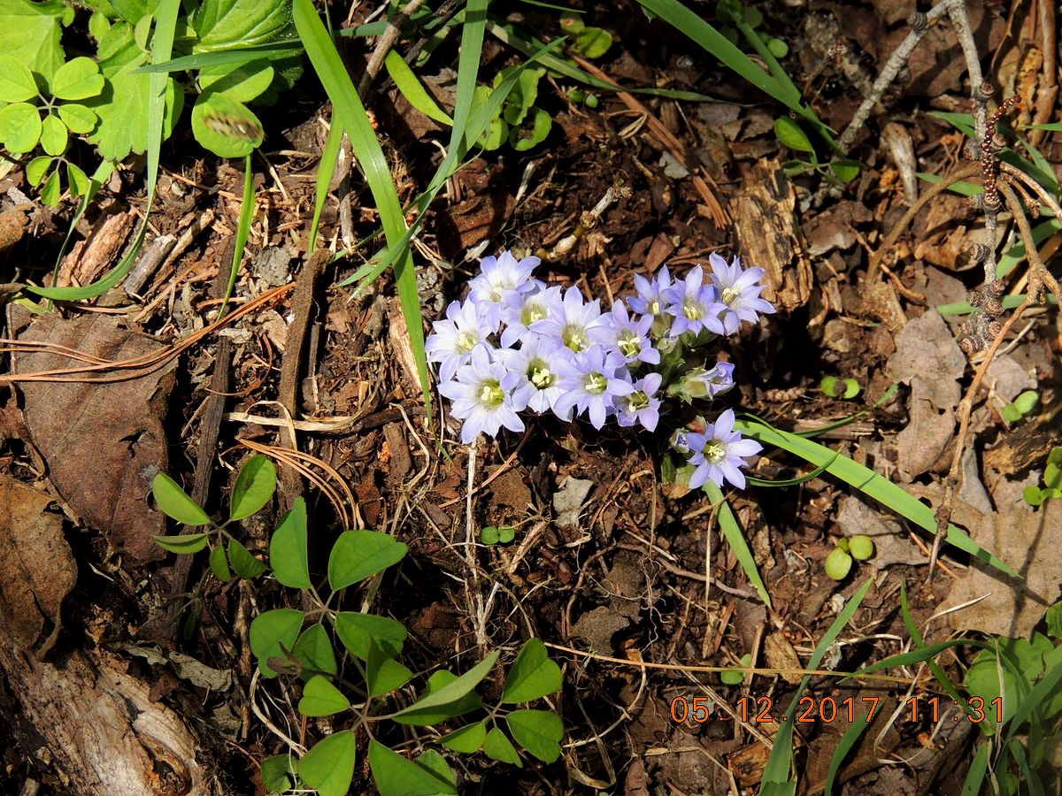f0104277_3582978.jpg