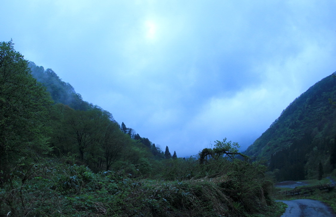 b0093678_19010013.jpg