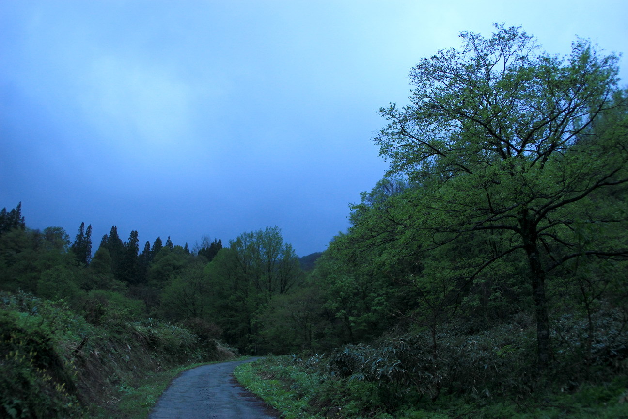 b0093678_19011155.jpg