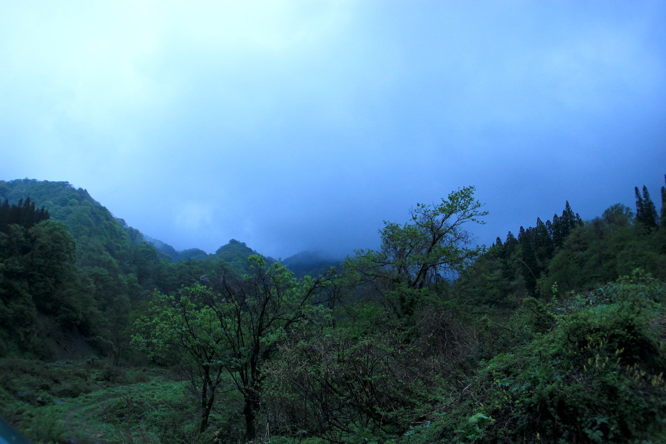 b0093678_19012329.jpg