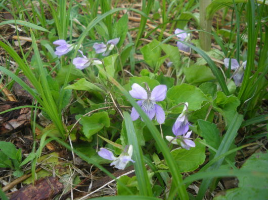 c0069380_15222543.jpg