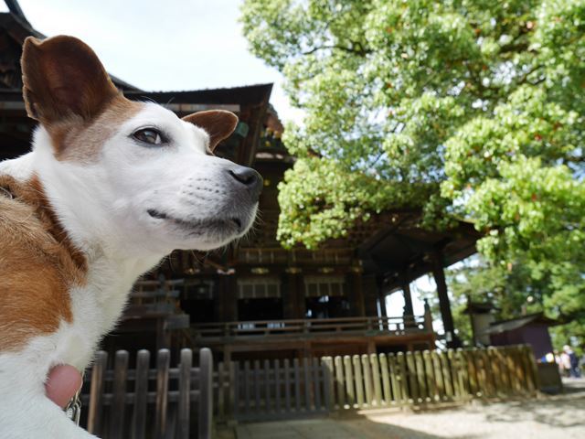 d0038083_09033420.jpg