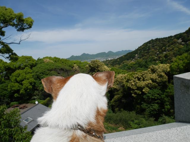 d0038083_09033582.jpg