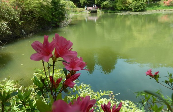 c0144185_16492383.jpg