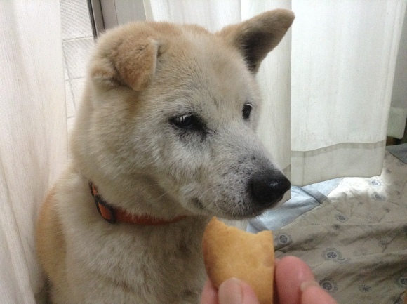 c0123890_19001684.jpeg
