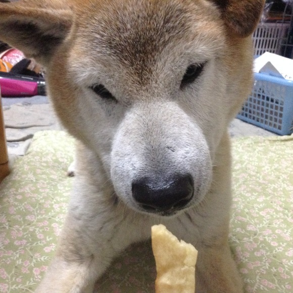 c0123890_19004085.jpeg