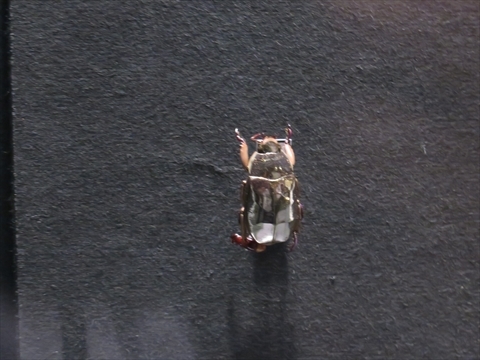 e0271890_18204037.jpg