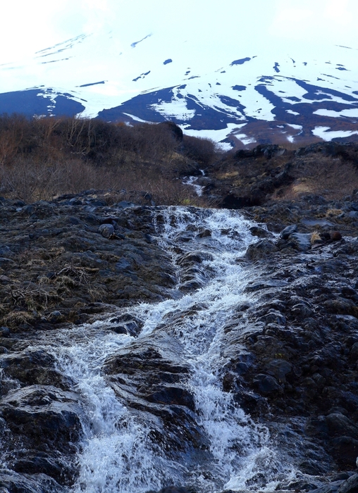 b0194994_2243962.jpg