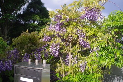 c0337494_16280835.jpg