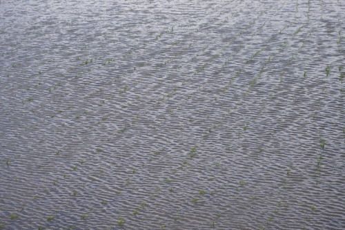 c0337494_16290908.jpg