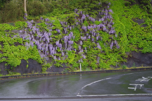 c0337494_16314023.jpg