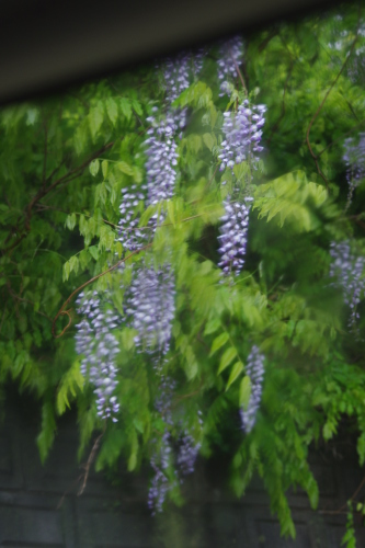 c0337494_16315486.jpg