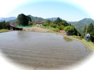 c0149195_17340467.jpg