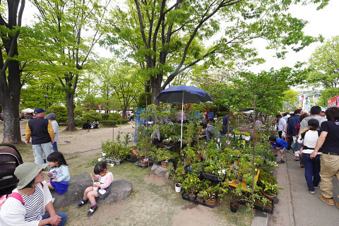 a0023397_11340735.jpg