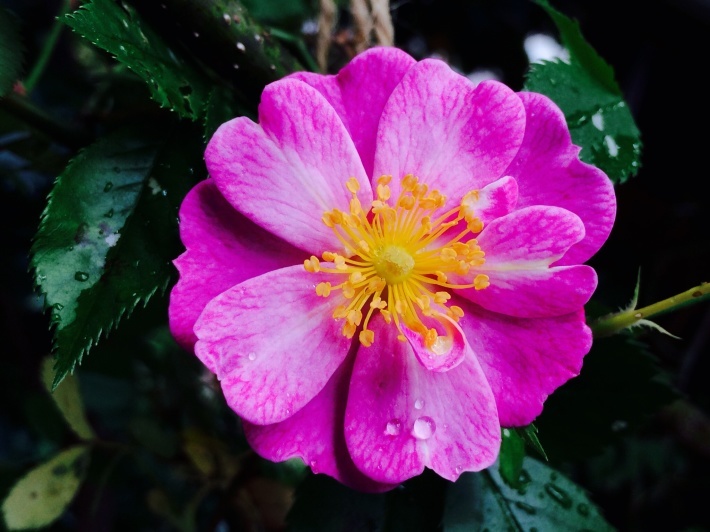 f0201297_11095556.jpg