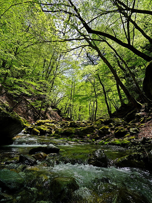 c0339900_20074468.jpg