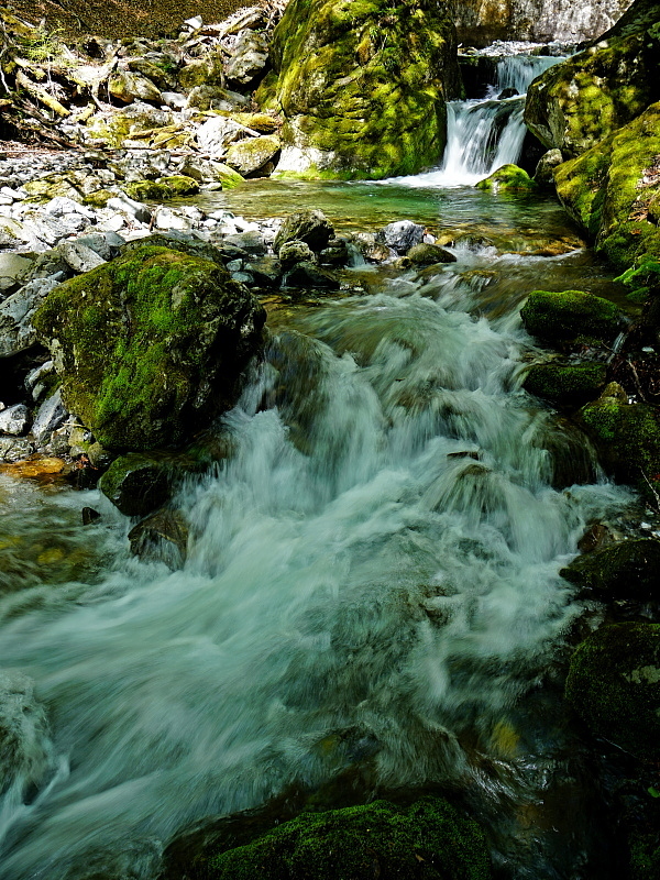 c0339900_20104403.jpg